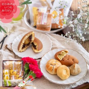 画像1: 旬の和菓子10入と造花のカーネーション付き母の日ギフト　良平堂　送料込