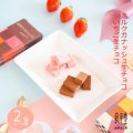 いちご生チョコ・ショコラ生チョコ / セット各1箱 メール便