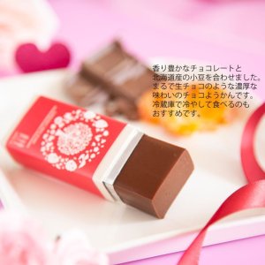 画像2: 和風チョコレート 和しょこら　1ケ 