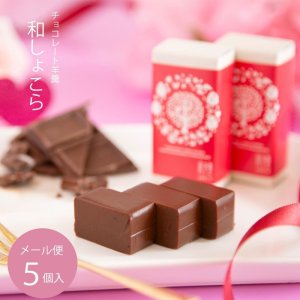 画像1: 和風チョコレート 和しょこら 5ケ　