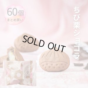 画像1: ちび栗ショコラ 60個　まとめ買い