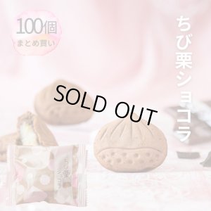 画像1: ちび栗ショコラ 100個　まとめ買い