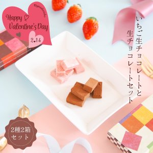 画像1: いちご生チョコ・ショコラ生チョコ / セット各1箱 メール便