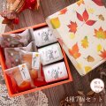 栗ひとつぶフィナンシェ・栗の森ケーキ秋BOXセット