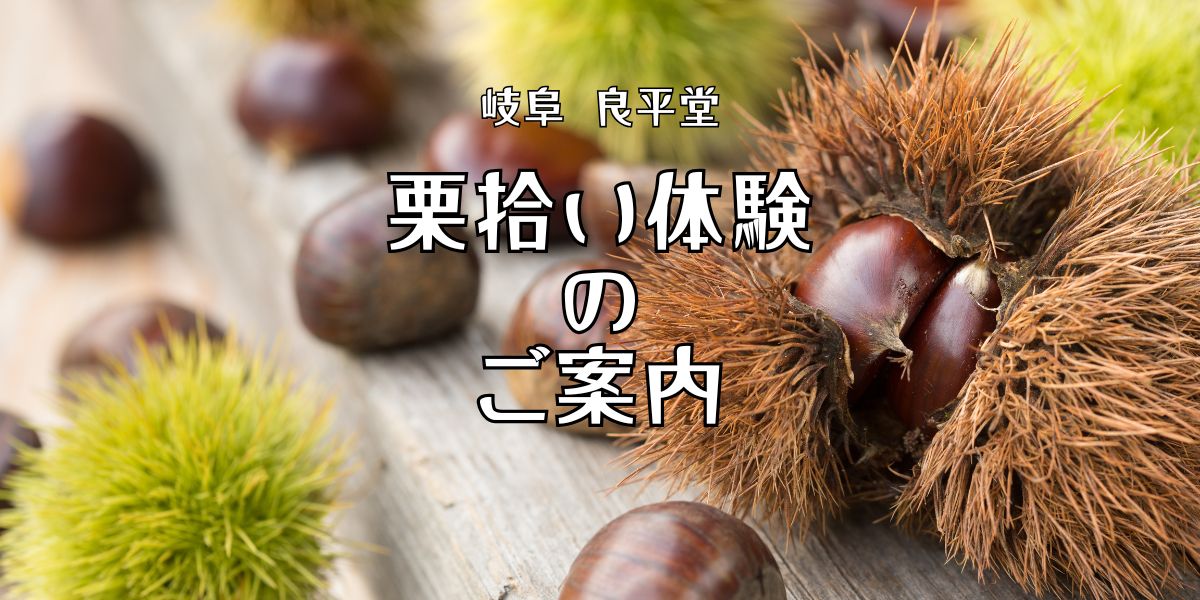 恵那の秋を楽しもう！栗ひろい体験2025のご案内