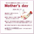 画像9: 旬の和菓子10入と造花のカーネーション付き母の日ギフト　良平堂　送料込 (9)