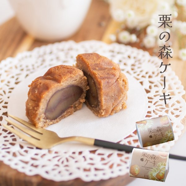 画像1: 栗の森ケーキ (1)