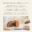 画像3: 栗の森ケーキ　20入 (3)